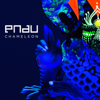 Chameleon - PNAU, Kira Divine