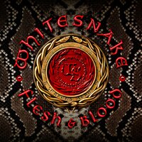 Flesh & Blood - Whitesnake