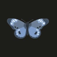 Butterfly - Josh Garrels, Latifah Alattas
