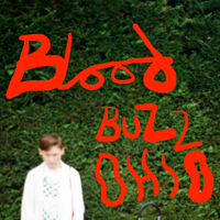 Bloodbuzz Ohio - SOAK