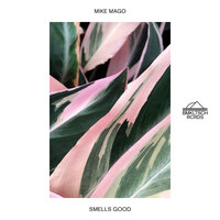 Smells Good - Mike Mago