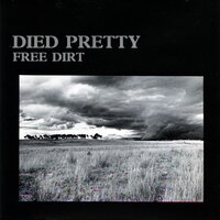 Through Another Door - Died Pretty