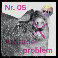 Attitudeproblem - Karpe