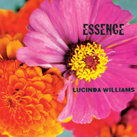I Envy The Wind - Lucinda Williams