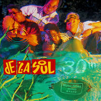 Sh.Fe.MC's - De La Soul, A Tribe Called Quest