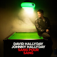 David Hallyday