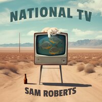 Sam Roberts