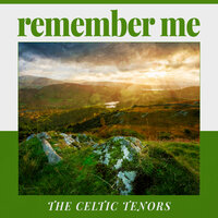 The Celtic Tenors