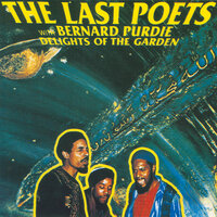 The Pill - The Last Poets, Bernard Purdie