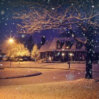 Evergreen in Your Heart - Stille Nacht, Relaxing Music, Spa & Spa, Relaxing music, Spa & Spa