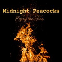 Midnight Peacocks
