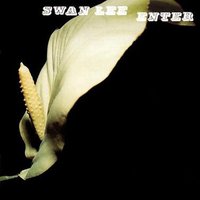 Flowers In The Wintertime - Swan Lee