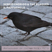 Il pappagallo - Sergio Endrigo, The Plagues