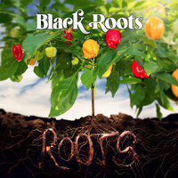 Black Roots