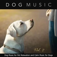 Dog Music