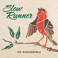 Don't Let Them See Me Like This - Slow Runner