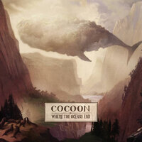Comets - Cocoon