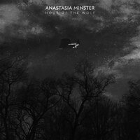 Sleep Sleep - Anastasia Minster