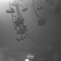nights - thrown
