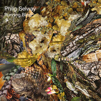 What Goes Around - Philip Selway