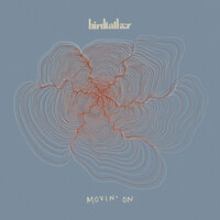 Movin' on - Birdtalker