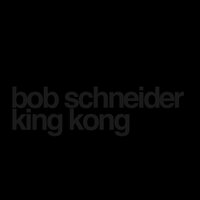 The Fools - Bob Schneider