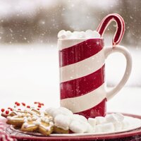 Spruced up - Christmas Music and Holiday Hits, White Noise Research, Tranquil Music Sound Of Nature