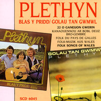 Y Gwylliaid - Plethyn