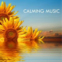 Serenity Healing Music Calming Songs - Calming Music Academy