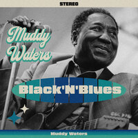 I Got A Rich Man's Woman - Muddy Waters