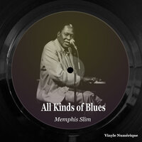 Blues Is Troubles - Memphis Slim