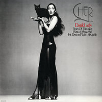 Just What I've Been Lookin' For - Cher