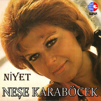 Bir Bahar Akşamı - Neşe Karaböcek