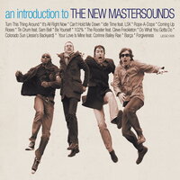 102% - The New Mastersounds