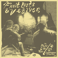 I Must Be In A Good Place Now - Fruit Bats, Vetiver