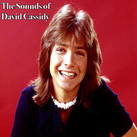 Where Is the Morning - David Cassidy