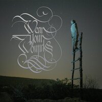 Shine - Wear Your Wounds