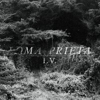 Trilogy 5 "Half Cross" - Loma Prieta