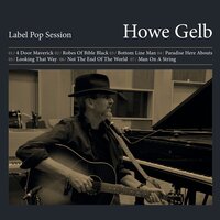 Paradise Here Abouts - Howe Gelb