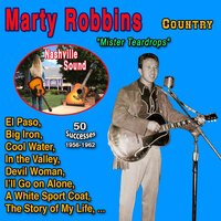 Love Is in the Air - Marty Robbins