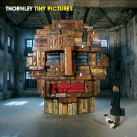 Might Be the End - Thornley