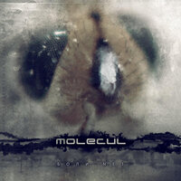 Секунды - Molecul