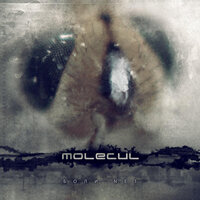 Небо в меня - Molecul