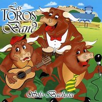 Mi Corazon Lloro - Los Toros Band
