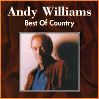 After All This Time - Andy Williams