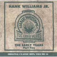 Montgomery In The Rain - Hank Williams Jr.