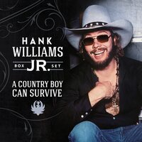 All My Rowdy Friends (Have Settled Down) - Hank Williams Jr.