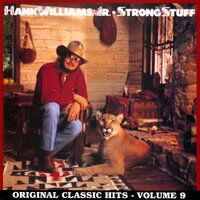 Made In The Shade - Hank Williams Jr.