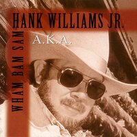 Houston, We Have A Problem - Hank Williams Jr.