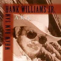 It Makes A Good Story - Hank Williams Jr.